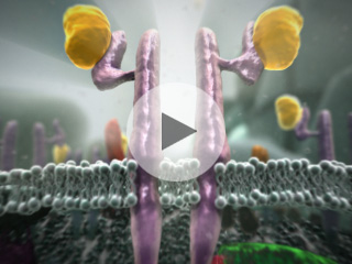 Daiichi Sankyo ARQ C-MET MOA