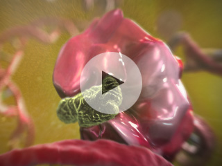 Daiichi Sankyo PPARy MOA