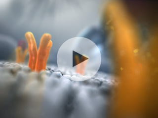 Daiichi Sankyo - 3 Minute Edit